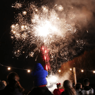 Conifox Fireworks